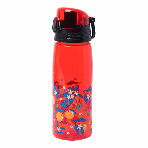 Бутылка для воды FLASK, 800 мл (красный)
