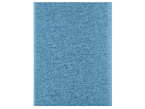 Обложка на магнитах для автодокументов и паспорта Favor, голубая