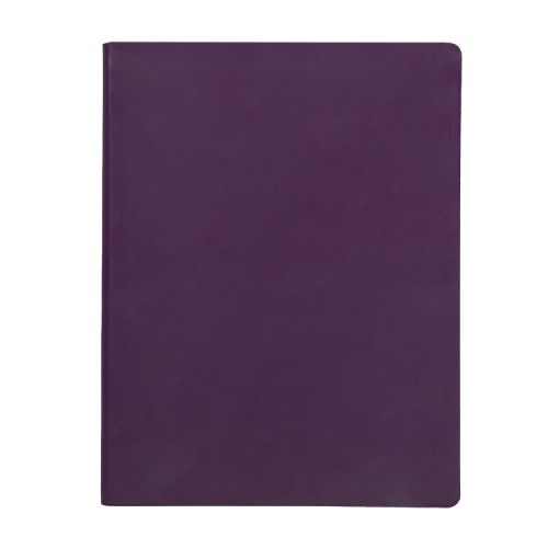 Бизнес-блокнот BIGGY, формат B5,  в клетку (фиолетовый)