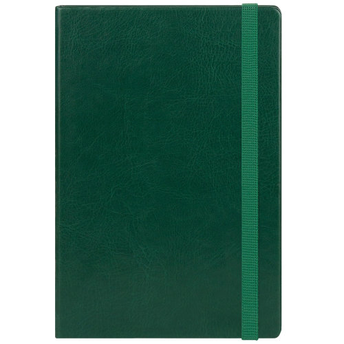 Ежедневник Voyage BtoBook недатированный, зеленый (без упаковки, без стикера)