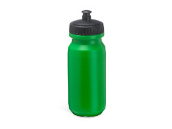 Спортивная бутылка BIKING из полиэтилена, папоротниковый